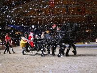 Neustädter Weihnachtsgala - Die märchenhafte Pferdeshow zum Fest
